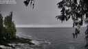 ./images/koeye/fitz-hugh/20260317/fitz-hugh20260317_083501M.jpg