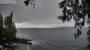 ./images/koeye/fitz-hugh/20260317/fitz-hugh20260317_090501M.jpg