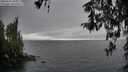 ./images/koeye/fitz-hugh/20260317/fitz-hugh20260317_104001M.jpg