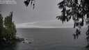 ./images/koeye/fitz-hugh/20260317/fitz-hugh20260317_104502M.jpg