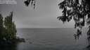 ./images/koeye/fitz-hugh/20260317/fitz-hugh20260317_110001M.jpg