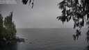 ./images/koeye/fitz-hugh/20260317/fitz-hugh20260317_110501M.jpg