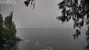 ./images/koeye/fitz-hugh/20260317/fitz-hugh20260317_124001M.jpg