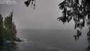 ./images/koeye/fitz-hugh/20260317/fitz-hugh20260317_130001M.jpg