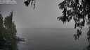 ./images/koeye/fitz-hugh/20260317/fitz-hugh20260317_141001M.jpg