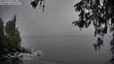 ./images/koeye/fitz-hugh/20260317/fitz-hugh20260317_142501M.jpg