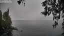 ./images/koeye/fitz-hugh/20260317/fitz-hugh20260317_143001M.jpg