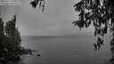 ./images/koeye/fitz-hugh/20260317/fitz-hugh20260317_144501M.jpg