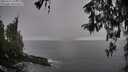 ./images/koeye/fitz-hugh/20260317/fitz-hugh20260317_162002M.jpg