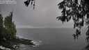 ./images/koeye/fitz-hugh/20260317/fitz-hugh20260317_163001M.jpg