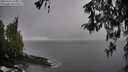 ./images/koeye/fitz-hugh/20260317/fitz-hugh20260317_163501M.jpg