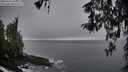 ./images/koeye/fitz-hugh/20260317/fitz-hugh20260317_170001M.jpg