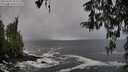 ./images/koeye/fitz-hugh/20260318/fitz-hugh20260318_103502M.jpg