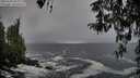 ./images/koeye/fitz-hugh/20260318/fitz-hugh20260318_104002M.jpg
