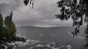 ./images/koeye/fitz-hugh/20260318/fitz-hugh20260318_110501M.jpg