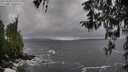 ./images/koeye/fitz-hugh/20260318/fitz-hugh20260318_112502M.jpg