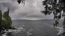./images/koeye/fitz-hugh/20260318/fitz-hugh20260318_114501M.jpg