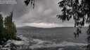 ./images/koeye/fitz-hugh/20260318/fitz-hugh20260318_123501M.jpg