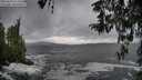 ./images/koeye/fitz-hugh/20260318/fitz-hugh20260318_124501M.jpg