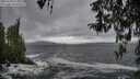 ./images/koeye/fitz-hugh/20260318/fitz-hugh20260318_125001M.jpg