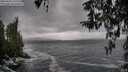 ./images/koeye/fitz-hugh/20260318/fitz-hugh20260318_133501M.jpg