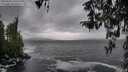 ./images/koeye/fitz-hugh/20260318/fitz-hugh20260318_134501M.jpg
