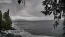 ./images/koeye/fitz-hugh/20260318/fitz-hugh20260318_135002M.jpg