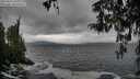 ./images/koeye/fitz-hugh/20260318/fitz-hugh20260318_143001M.jpg