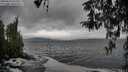 ./images/koeye/fitz-hugh/20260318/fitz-hugh20260318_143501M.jpg