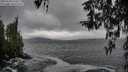 ./images/koeye/fitz-hugh/20260318/fitz-hugh20260318_144501M.jpg