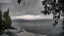 ./images/koeye/fitz-hugh/20260318/fitz-hugh20260318_145002M.jpg