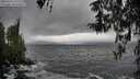 ./images/koeye/fitz-hugh/20260318/fitz-hugh20260318_145502M.jpg