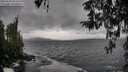 ./images/koeye/fitz-hugh/20260318/fitz-hugh20260318_152501M.jpg
