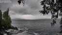 ./images/koeye/fitz-hugh/20260318/fitz-hugh20260318_153001M.jpg
