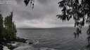 ./images/koeye/fitz-hugh/20260318/fitz-hugh20260318_154502M.jpg
