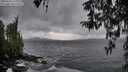 ./images/koeye/fitz-hugh/20260318/fitz-hugh20260318_155502M.jpg