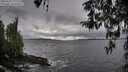 ./images/koeye/fitz-hugh/20260318/fitz-hugh20260318_171501M.jpg