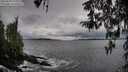./images/koeye/fitz-hugh/20260318/fitz-hugh20260318_172002M.jpg