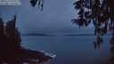 ./images/koeye/fitz-hugh/20260319/fitz-hugh20260319_070501M.jpg