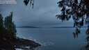 ./images/koeye/fitz-hugh/20260319/fitz-hugh20260319_071501M.jpg