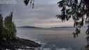 ./images/koeye/fitz-hugh/20260319/fitz-hugh20260319_081501M.jpg