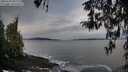 ./images/koeye/fitz-hugh/20260319/fitz-hugh20260319_082502M.jpg