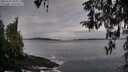 ./images/koeye/fitz-hugh/20260319/fitz-hugh20260319_085002M.jpg
