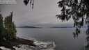 ./images/koeye/fitz-hugh/20260319/fitz-hugh20260319_100501M.jpg