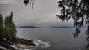 ./images/koeye/fitz-hugh/20260319/fitz-hugh20260319_101502M.jpg