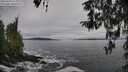 ./images/koeye/fitz-hugh/20260319/fitz-hugh20260319_113001M.jpg