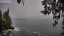 ./images/koeye/fitz-hugh/20260319/fitz-hugh20260319_131502M.jpg