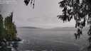 ./images/koeye/fitz-hugh/20260319/fitz-hugh20260319_135501M.jpg