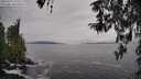 ./images/koeye/fitz-hugh/20260319/fitz-hugh20260319_143501M.jpg