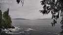 ./images/koeye/fitz-hugh/20260319/fitz-hugh20260319_144001M.jpg